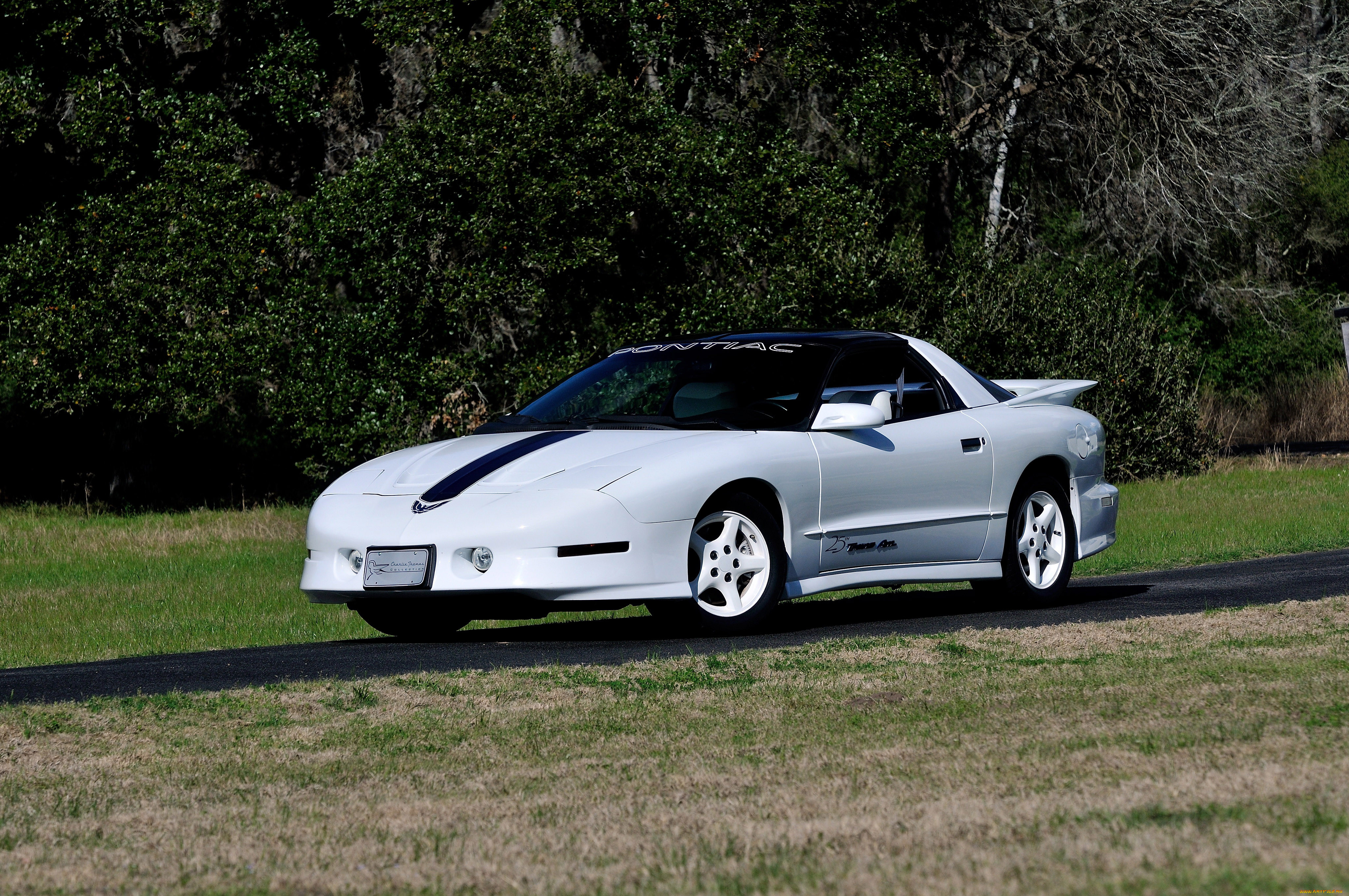 1994 Pontiac HD